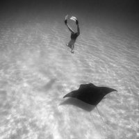 Freediver