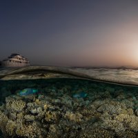 red sea sunset