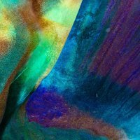 Detail of a parrotfish