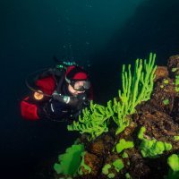 Lake Baikal diver