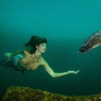 mermaid with sturgeon
