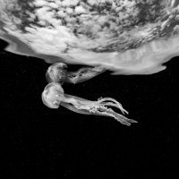 Floating in liquid space